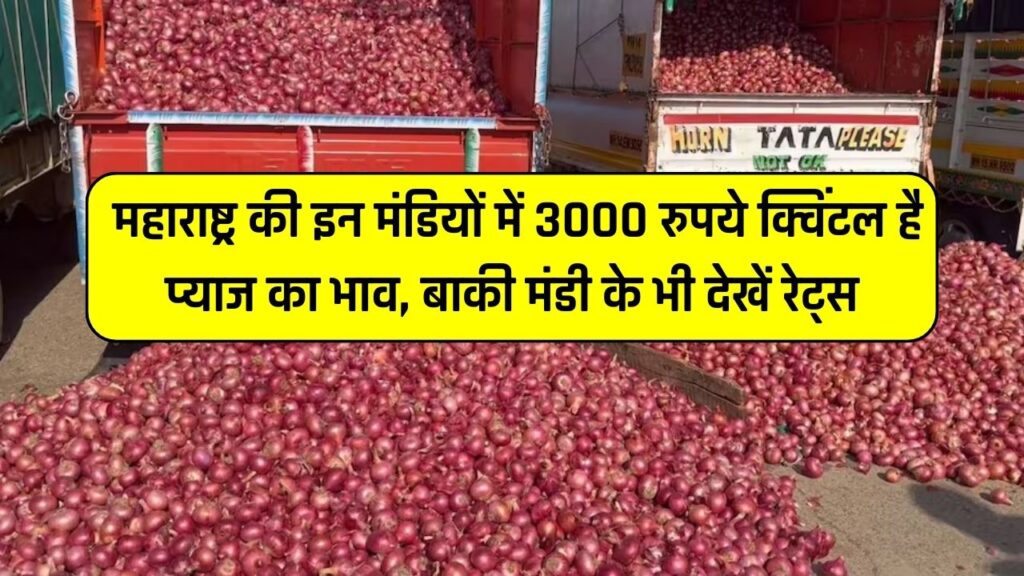 In these markets of Maharashtra, the price is Rs 3000 per quintal