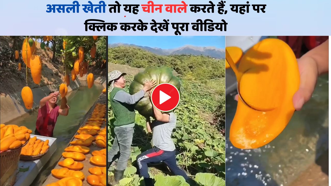 China Kheti : The real farming is done by the people of China, click here to watch the full video